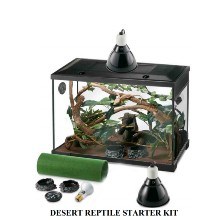 desert reptikel starter kit